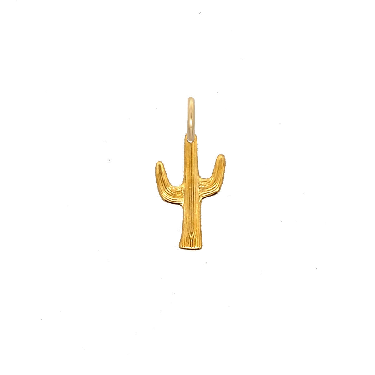 Cactus Charm