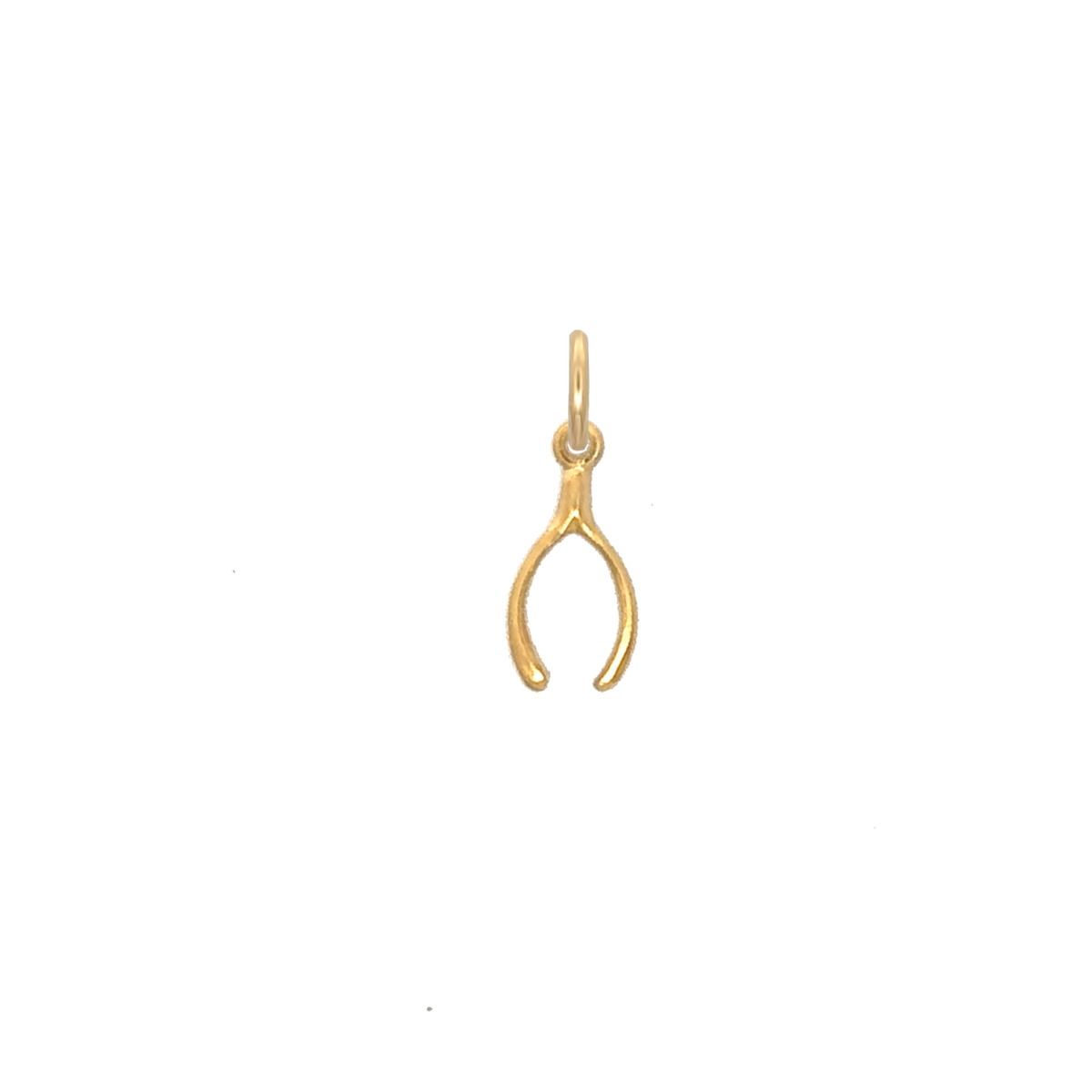 WishBone Charm