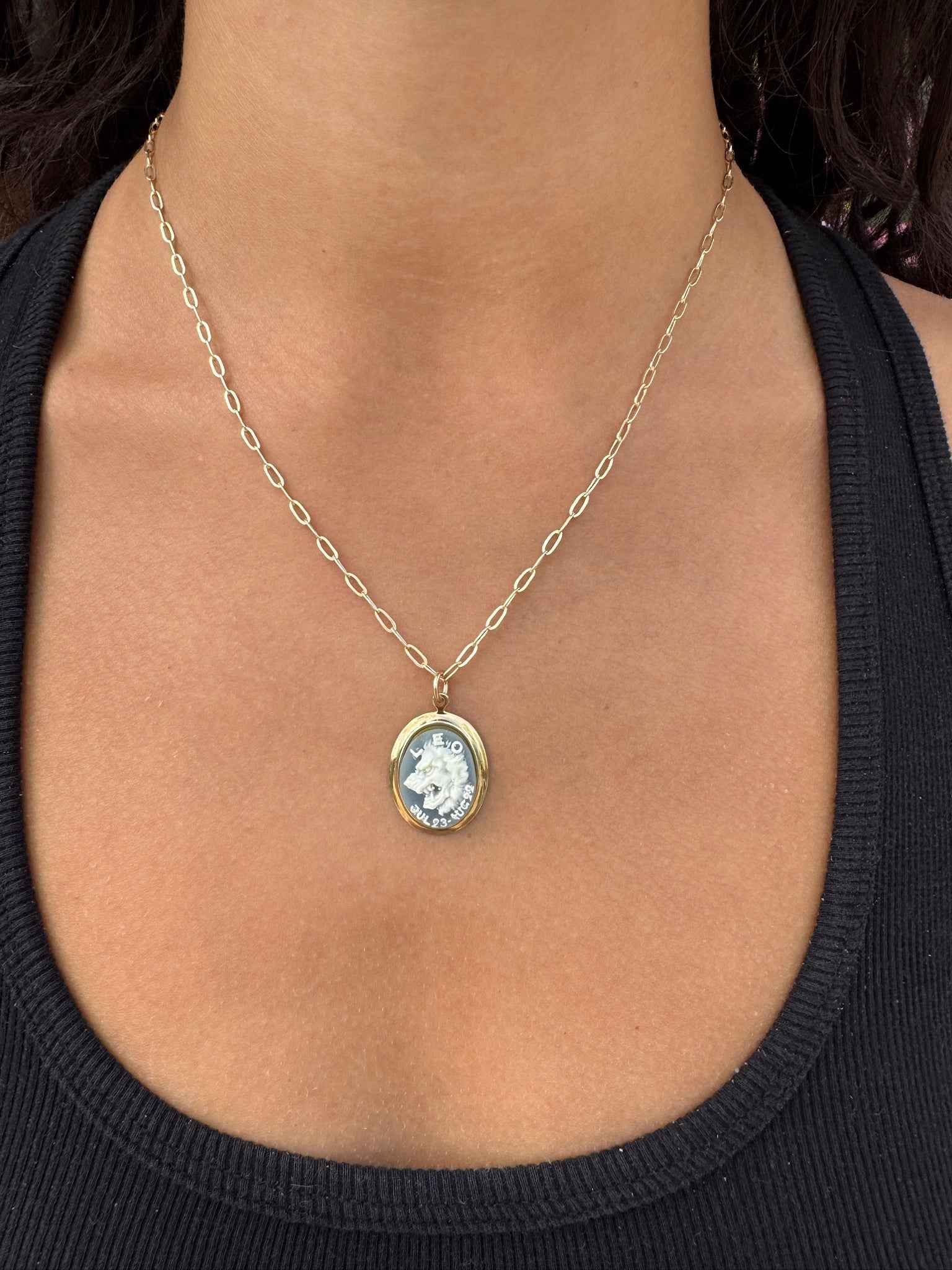 Vintage Blue and White Zodiac Cameo