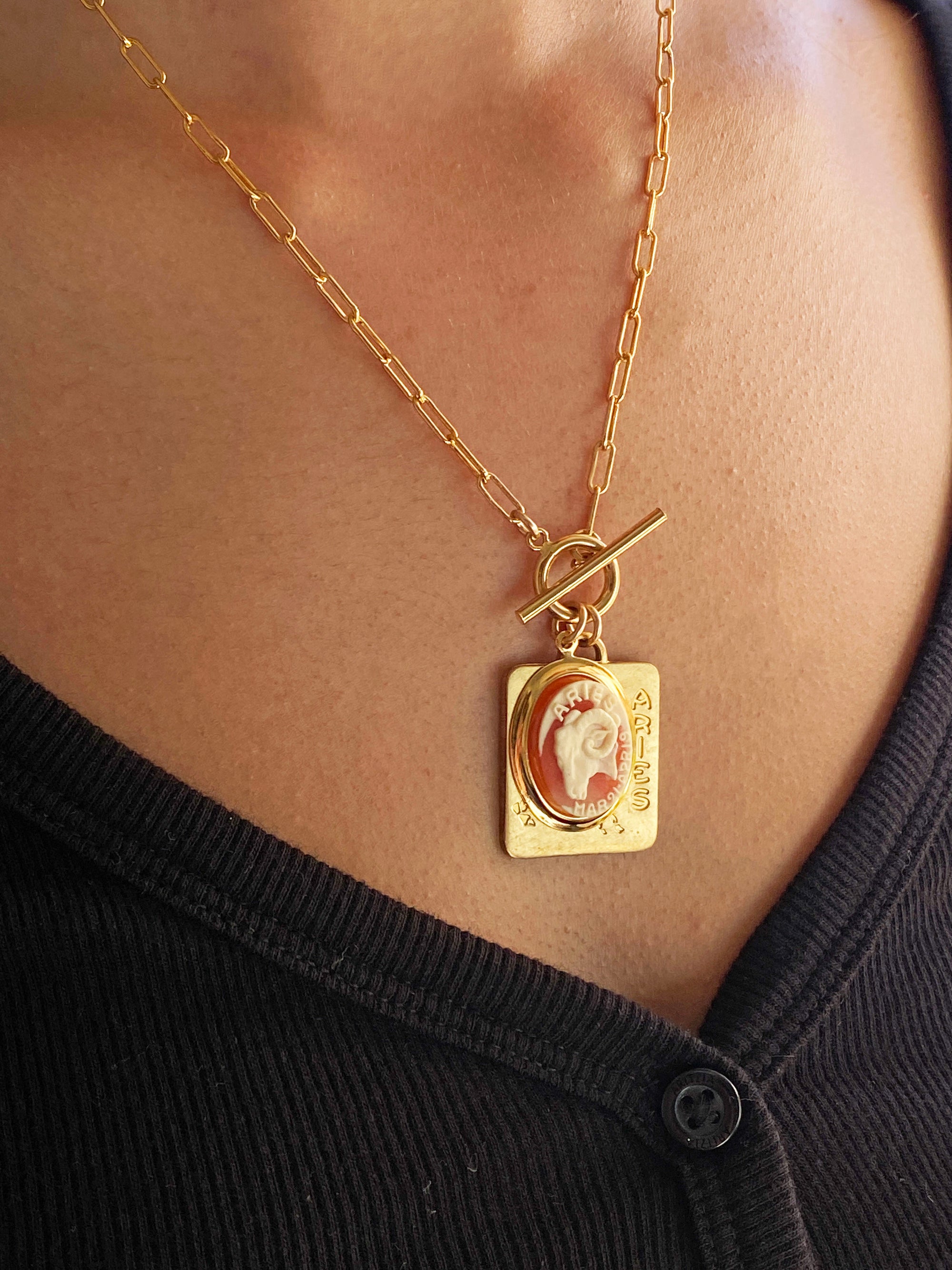 A gold-plated dog tag cameo necklace with an Aries zodiac design on a toggle clasp chain, displayed on a person's neck