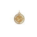 Leo Braided Brass Charm