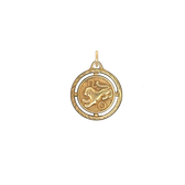 Leo Braided Brass Charm