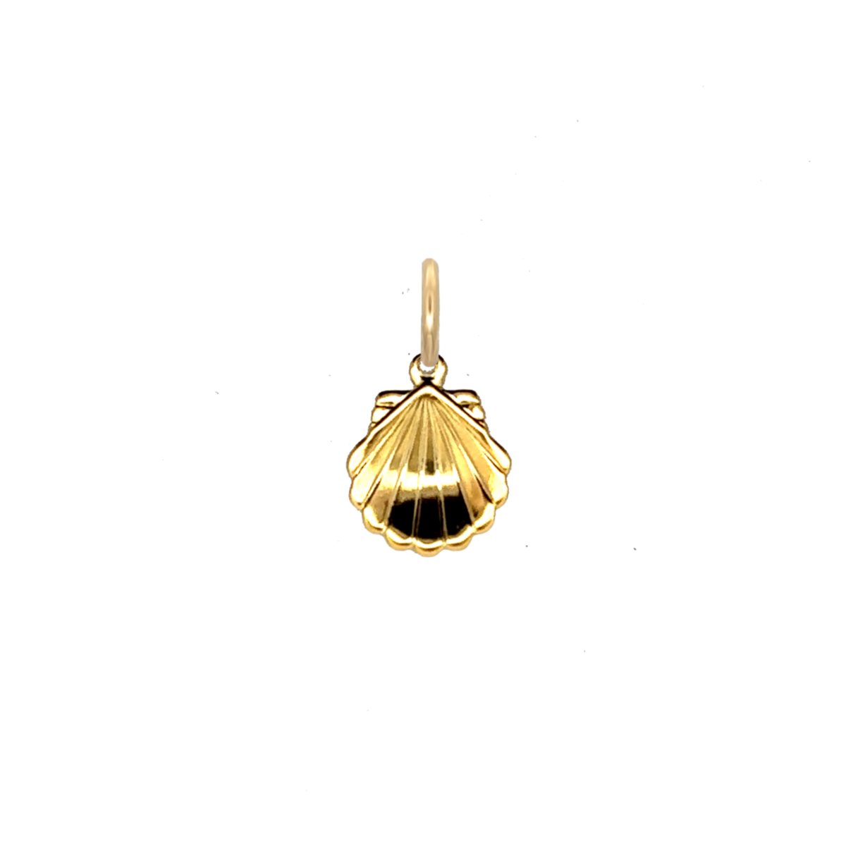 Seashell Charm