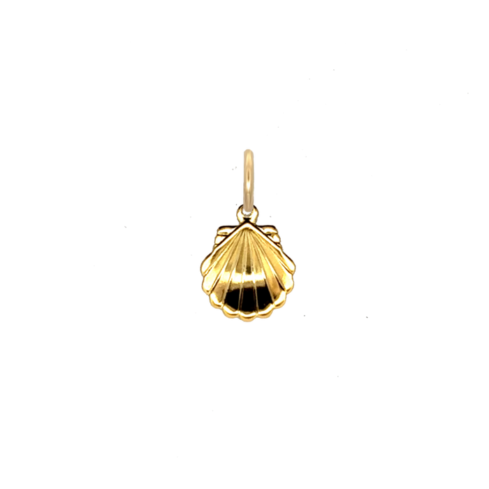 Seashell Charm