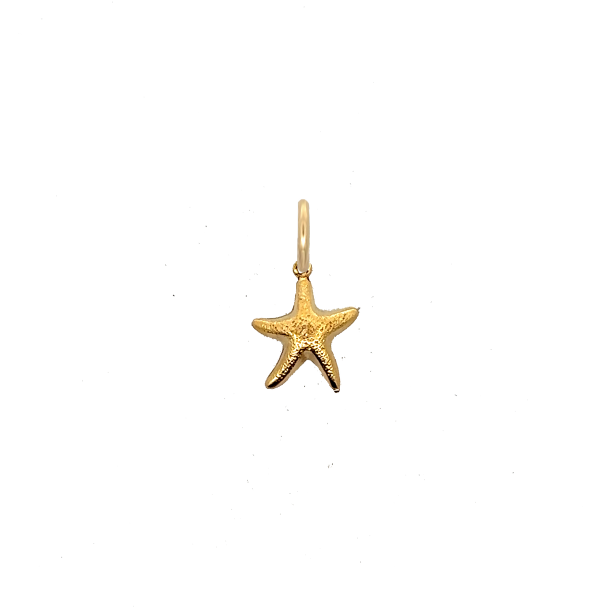 Starfish Charm