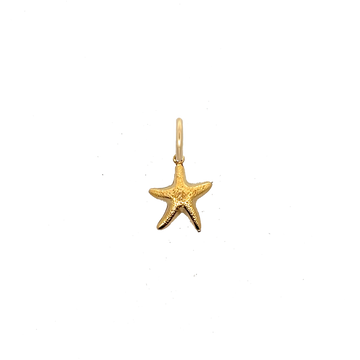 Starfish Charm