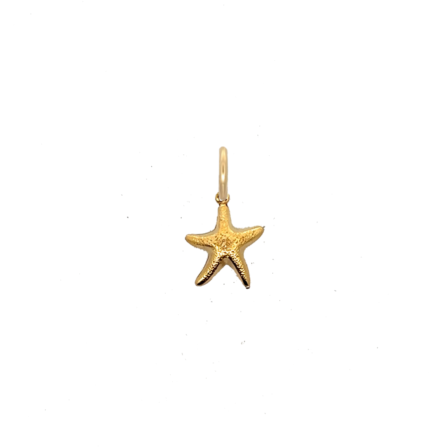 Starfish Charm