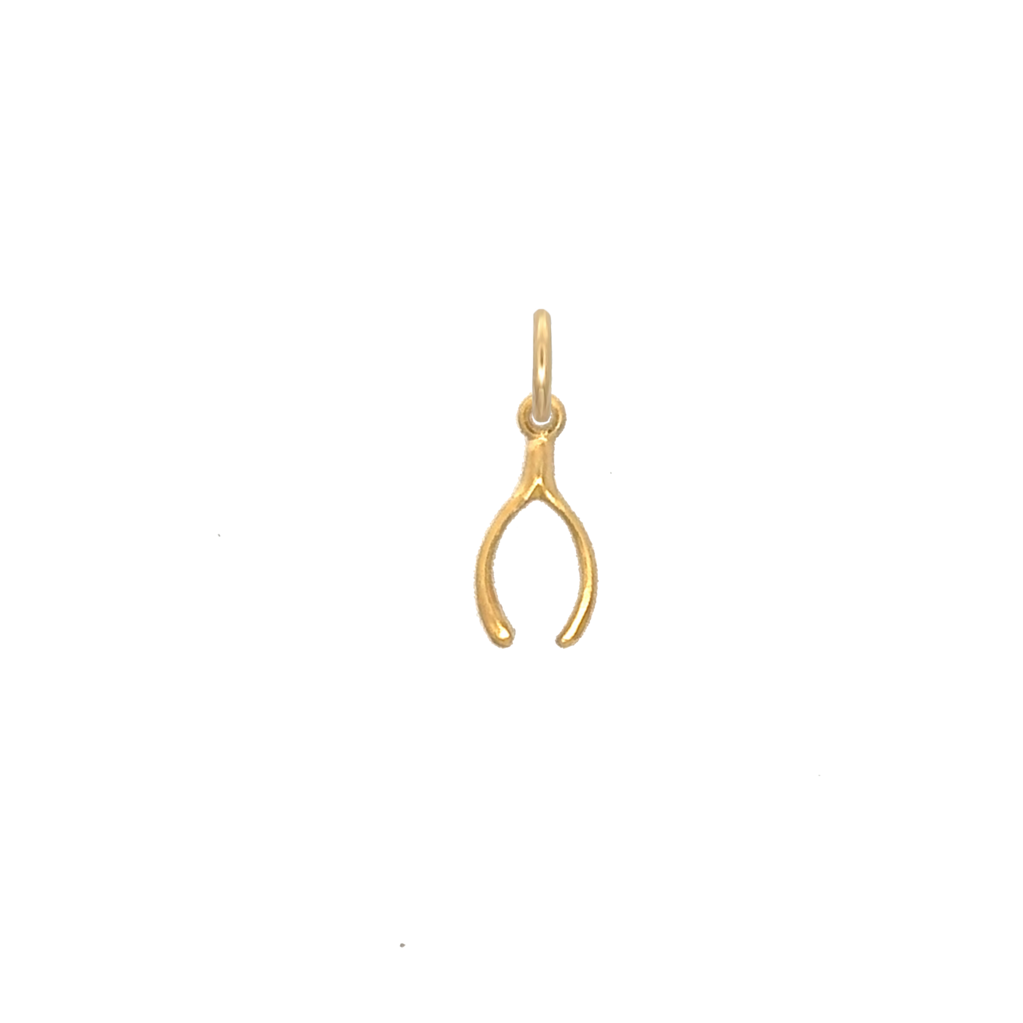 WishBone Charm