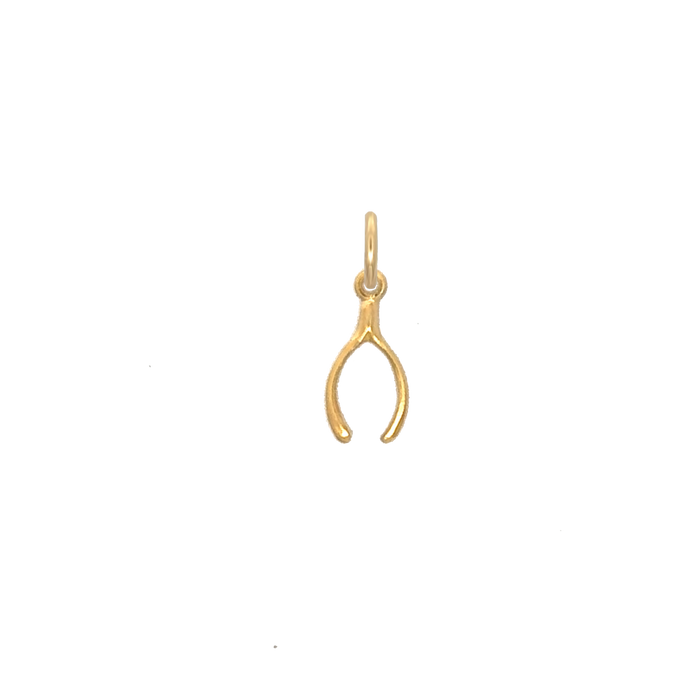 WishBone Charm