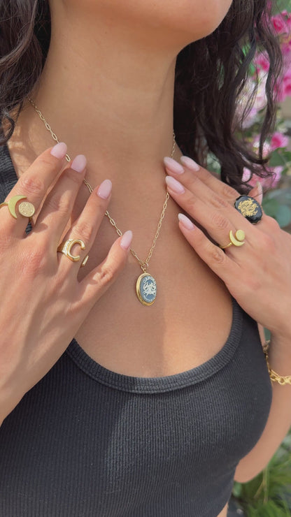 Vintage Blue and White Zodiac Cameo