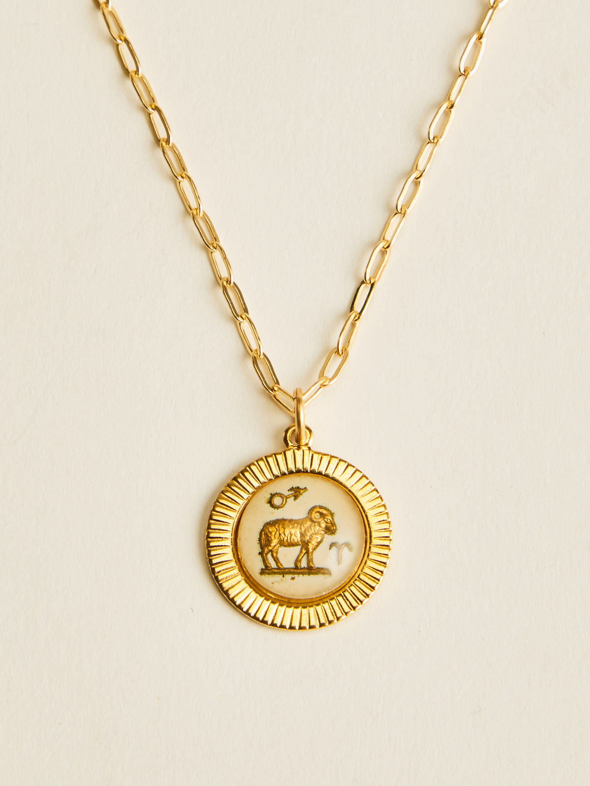 Small Framed Vintage Zodiac Necklace
