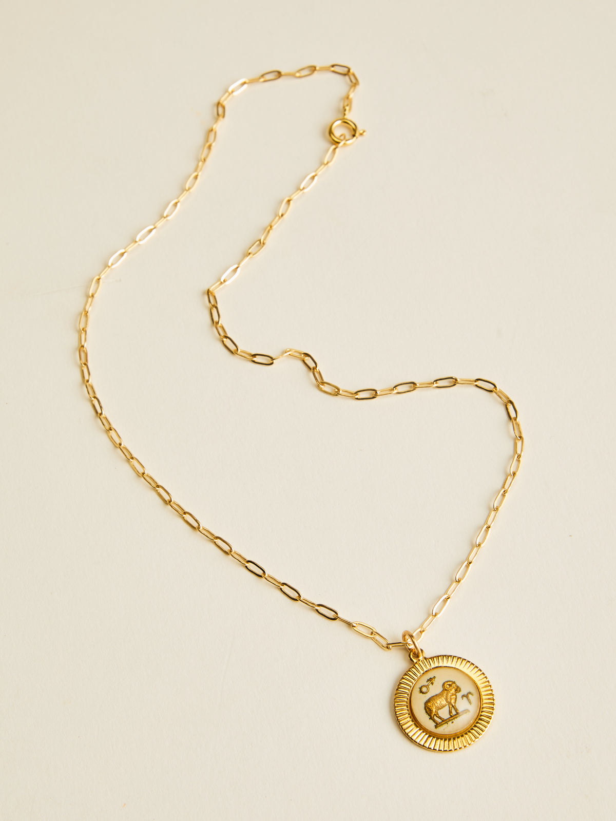 Small Framed Vintage Zodiac Necklace