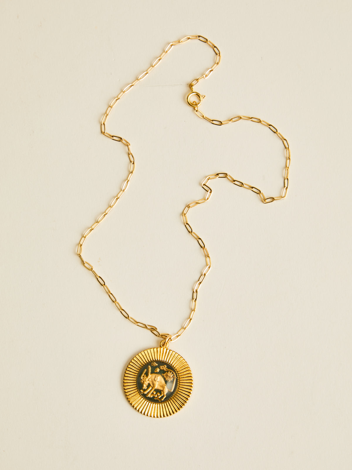 Radiant Zodiac Necklace
